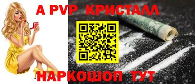 дмт Аргун