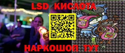 дмт Аргун