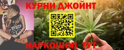 дмт Аргун