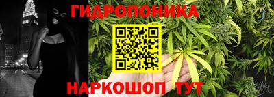 дмт Аргун