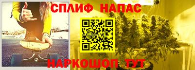 индика Апшеронск
