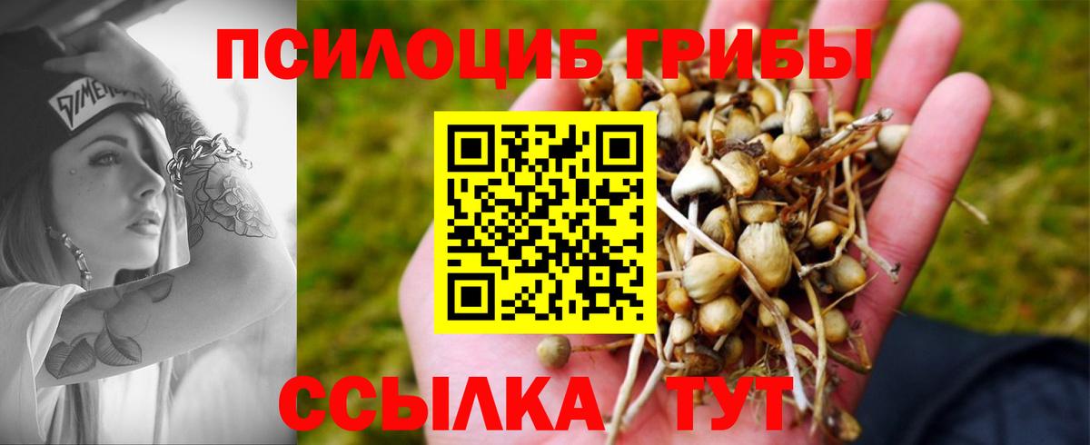 Алатырь  Галлюциногенные грибы GOLDEN TEACHER  Вход с VPN 